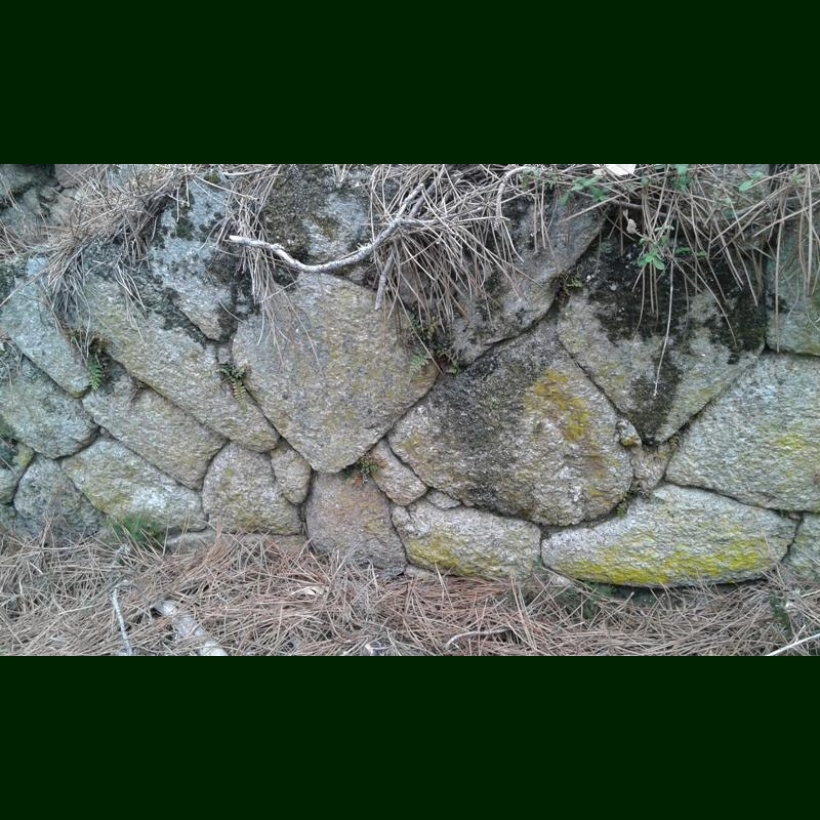 Muro no poboado do Castelo de Laias